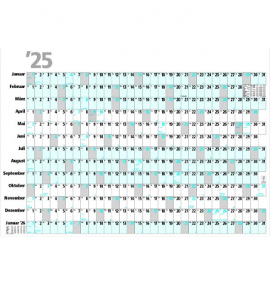 Plakatkalender PK13, Expert, 13 Monate / 1 Seite, 98x68,5cm, 2025