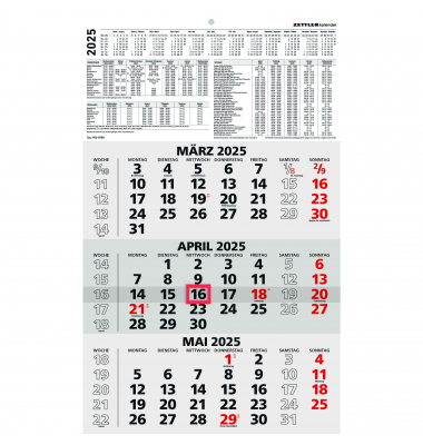 Dreimonatskalender 956-0011, 3 Monate / 1 Seite, 29,7x48,8cm, 2025