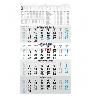 Viermonatskalender 959-0015, 4 Monate / 1 Seite, 33x59cm, 2025