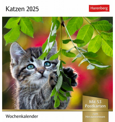 Bildkalender 2108400, Katzen, 1 Woche / 1 Seite, 16x17,5cm, 2025