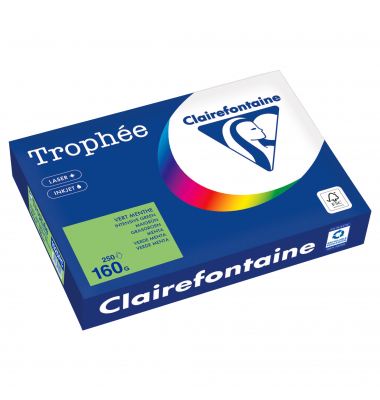 Kopierpapier Trophée Color 1025PC maigrün A4 160g 