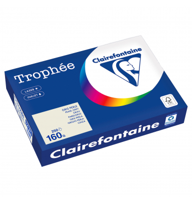 Kopierpapier Trophée Color 1041PC grau A4 160g 