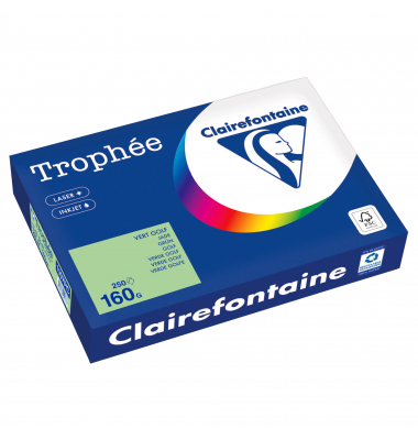 Kopierpapier Trophée Color 1107PC grün A4 160g 