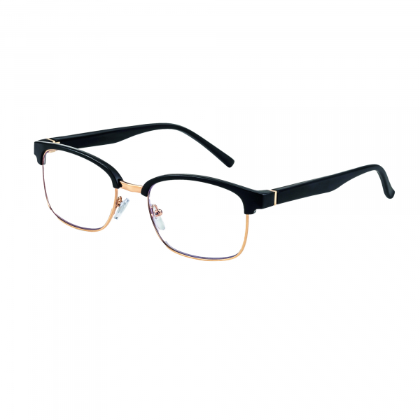 4013459456232 - Lesebrille Palermo F4562320 sw go 25 4013459456232 Filtral