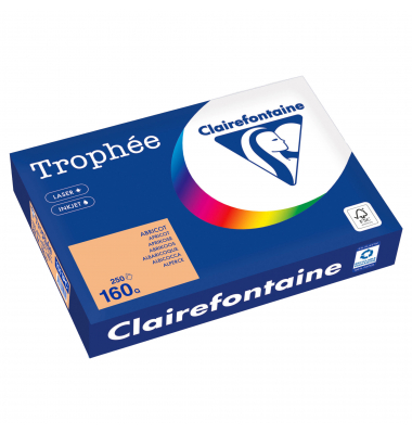 Kopierpapier Trophée Color 1011PC A4 160g aprikose 