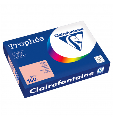 Kopierpapier Trophée Color 1049PC A4 160g pfirsich 