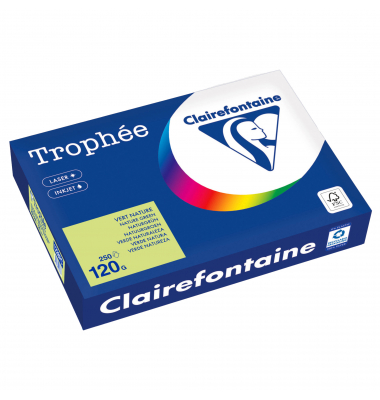 Kopierpapier Trophée Color 1228PC A4 120g naturgrün 