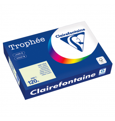 Kopierpapier Trophée Color 1246PC A4 120g lindgrün 