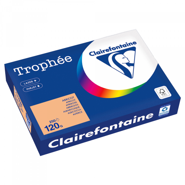 3329680003185 - Kopierpapier Trophée Color 1275PC A4 120g aprikose  3329680003185 250 Blatt