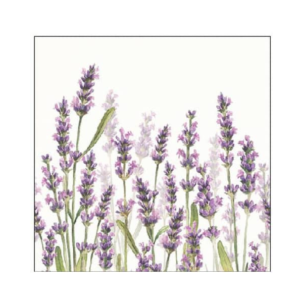 8712159177329 - Motivserviette 25x25cm Lavendel 8712159177329 20 Stück