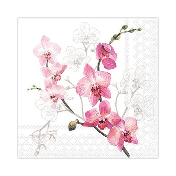 8712159182835 - Motivserviette 33x33cm Orchid 8712159182835 20 Stück