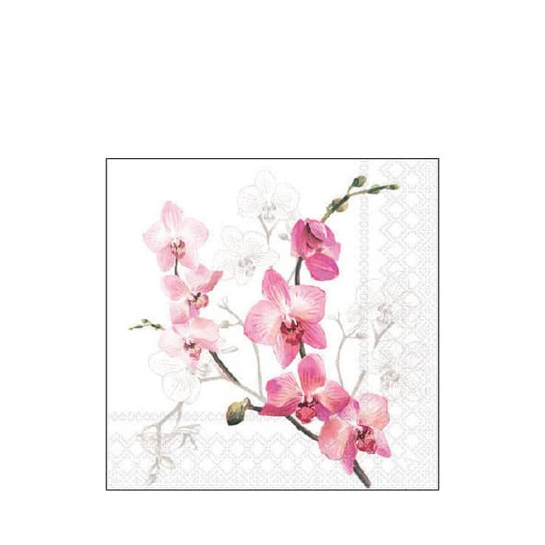 8712159188516 - Motivserviette 25x25cm Orchid 8712159188516 20 Stück