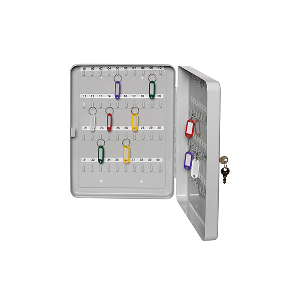 4007735891336 - ALCO Schlüsselkasten x 75 cm (B x H x T) inkl 2 Schlüssel 891 Anzahl Haken 30 Lichtgrau
