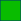grüne Putzeimer